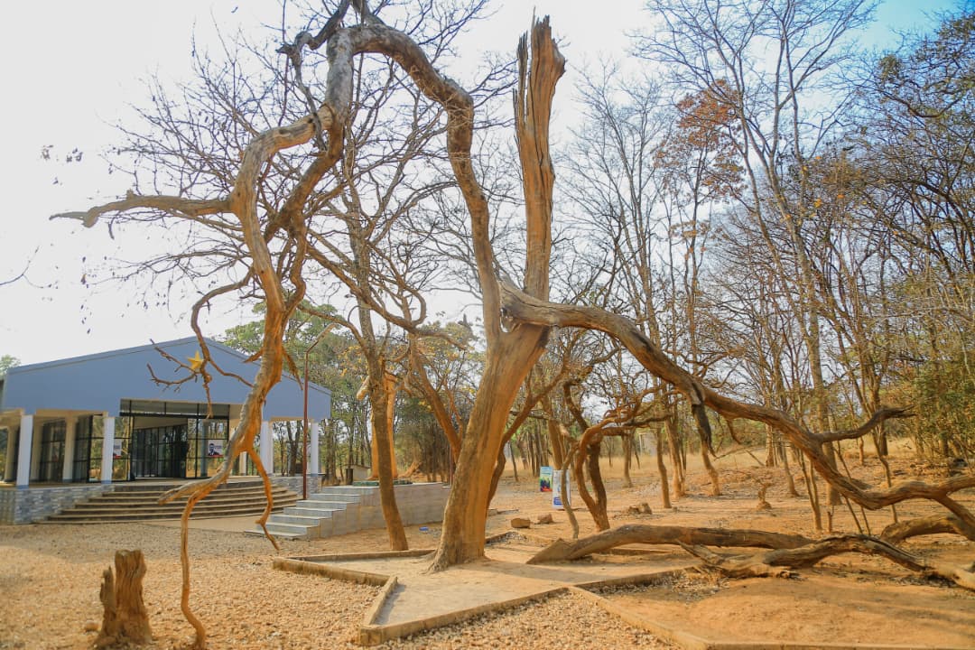 Village SHILATEMBO